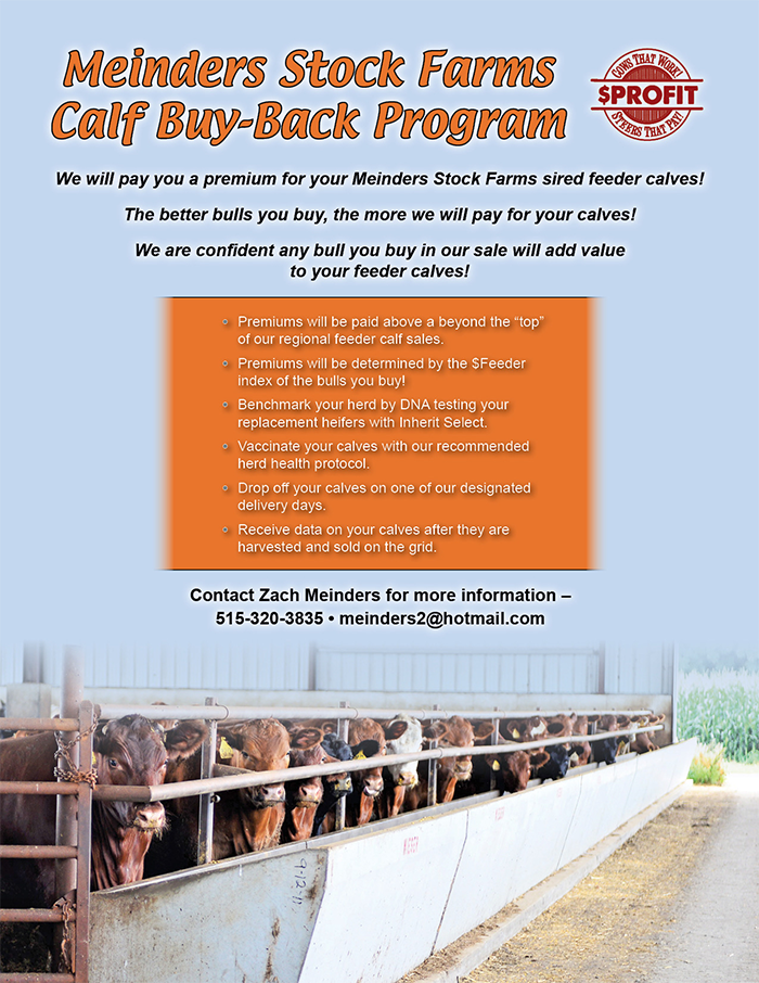 Calf Buyback Program
